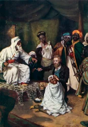 Mungo Park, Ali emír alkalmazott fodrászként